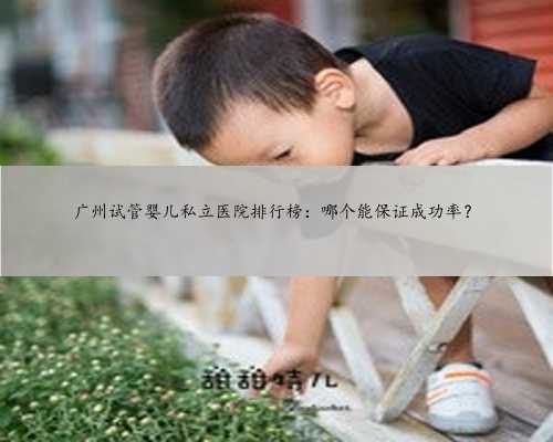 广州试管婴儿私立医院排行榜：哪个能保证成功率？